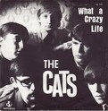 the cats - what a crazy life (kopie hoes) 
